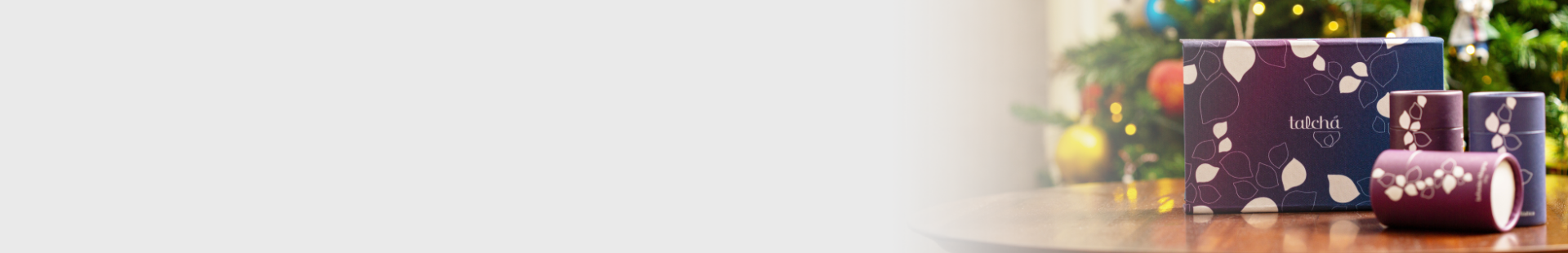 Banner principal desktop